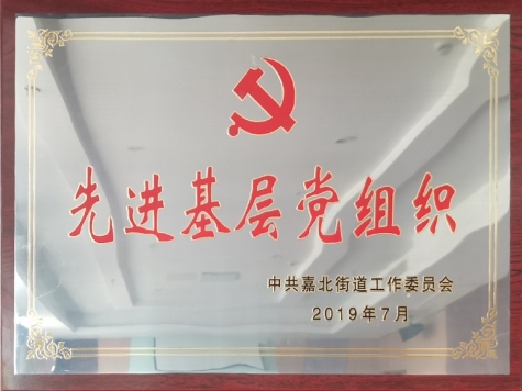 2019年先進(jìn)基層黨組織